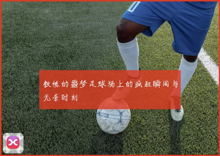 教练的噩梦足球场上的疯狂瞬间与无奈时刻