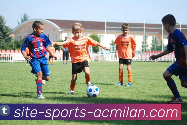 多媒体互动体验